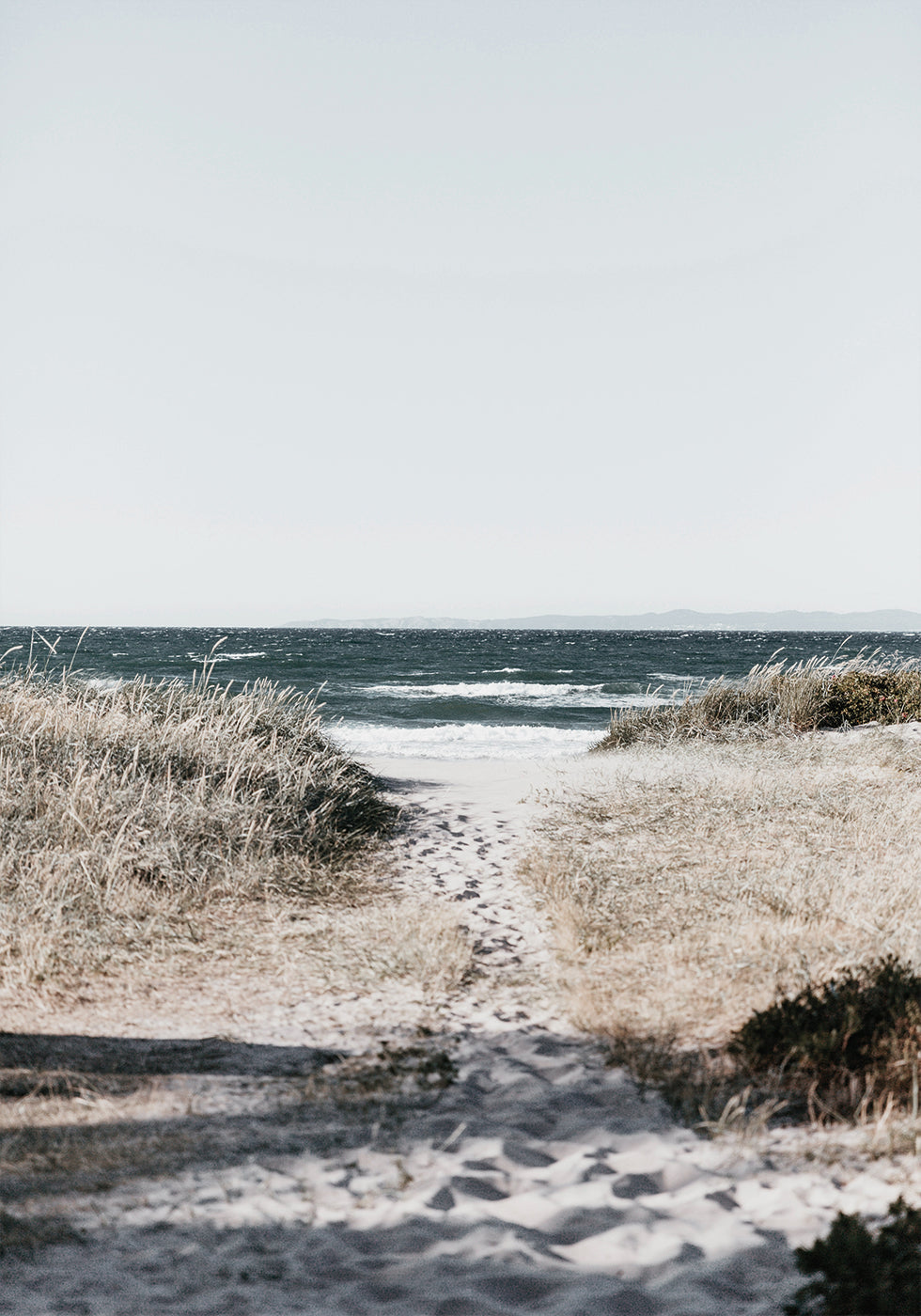 Sandy Path To The Ocean Poster