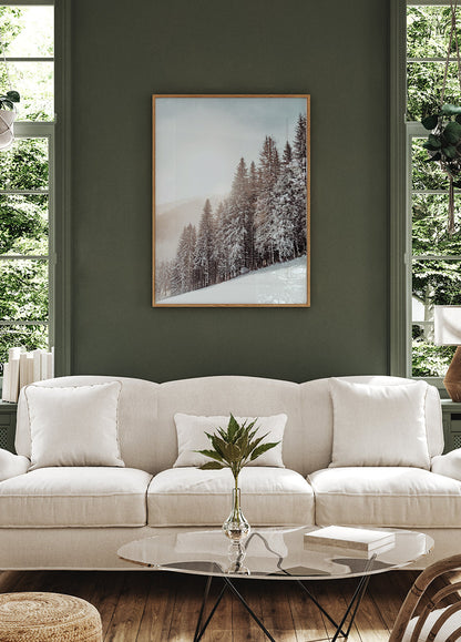 Snow Covered Trees Poster