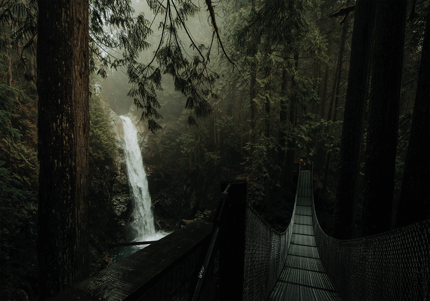 Waterfall in the Forest Poster