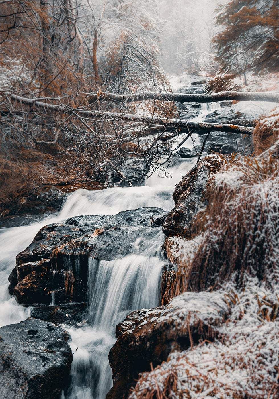 Winter Waterfall In The Forest Poster