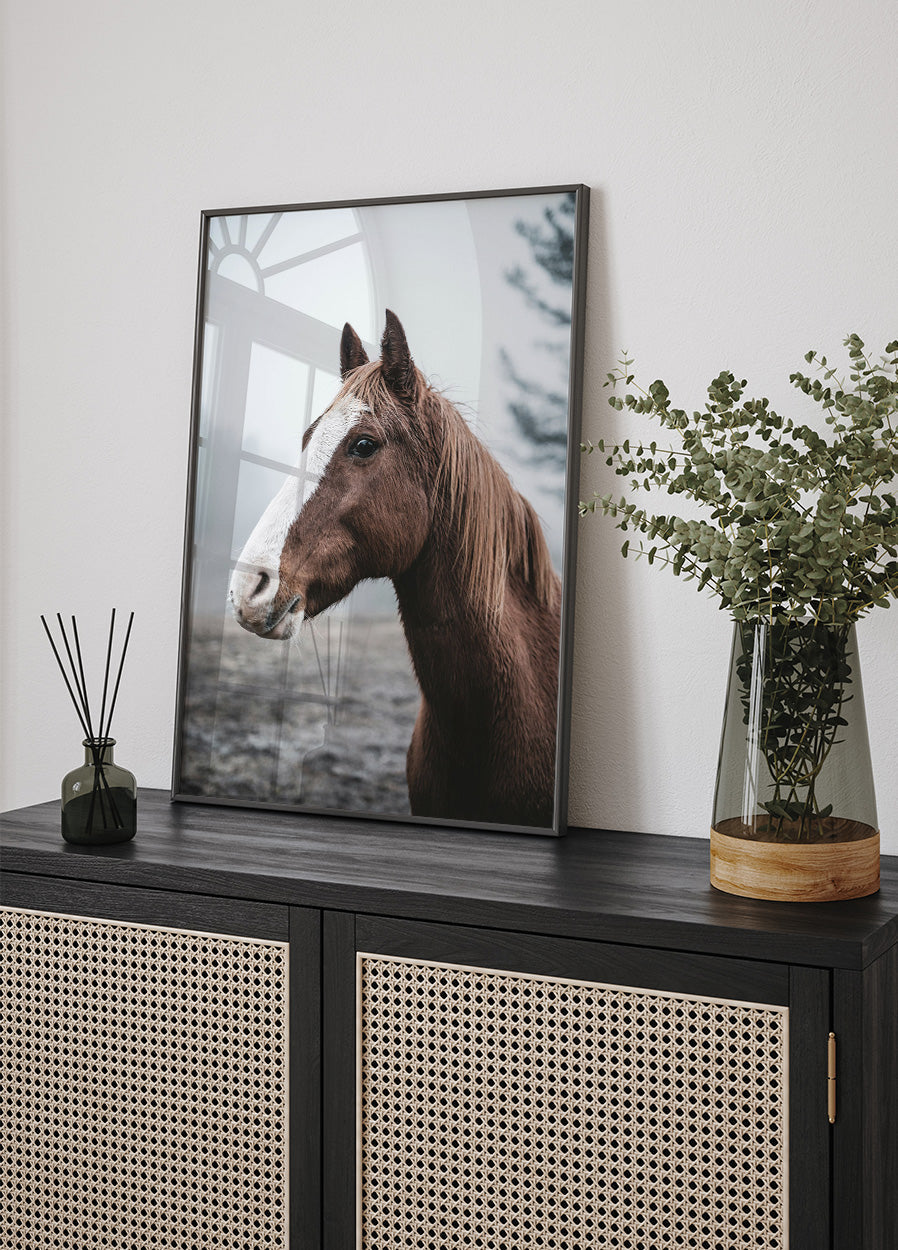 Brown Horse Poster