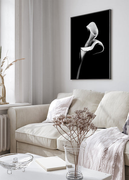 Calla Lily Poster