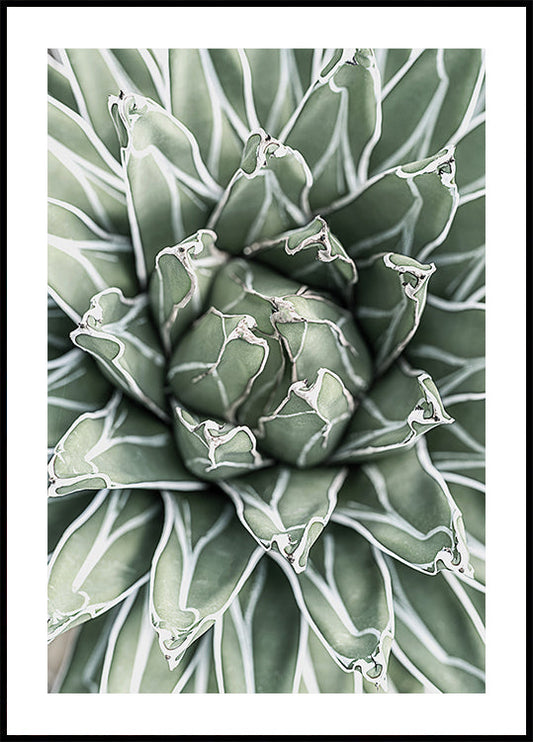 a close up view of a green flower