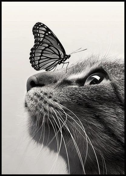 Butterfly Cat Plakat - Posterbox.no