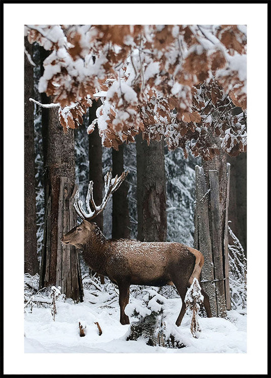 Deer in A Snowy Forest Poster