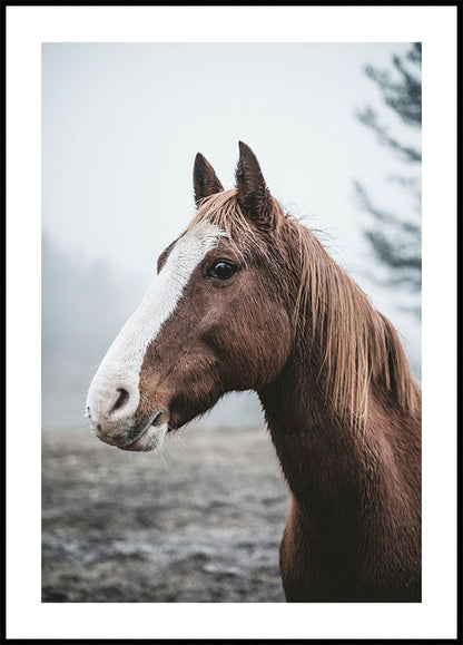 Brown Horse Poster