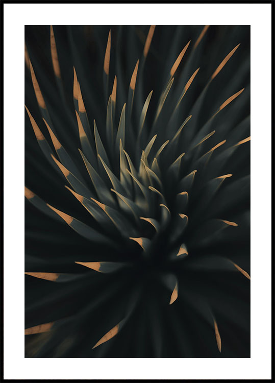 Spiral Plant Texture Poster