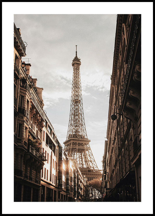 Eiffel Tower View Poster