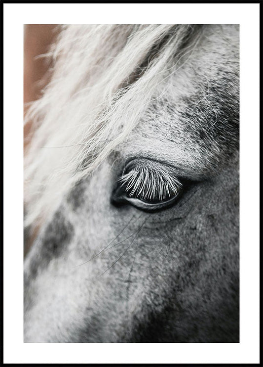 Eye of The White Horse Poster