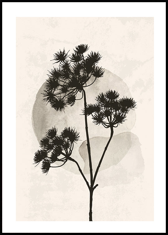 Dried Flower Silhouette Poster