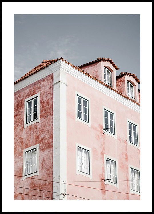 Charming Pink Architecture Poster