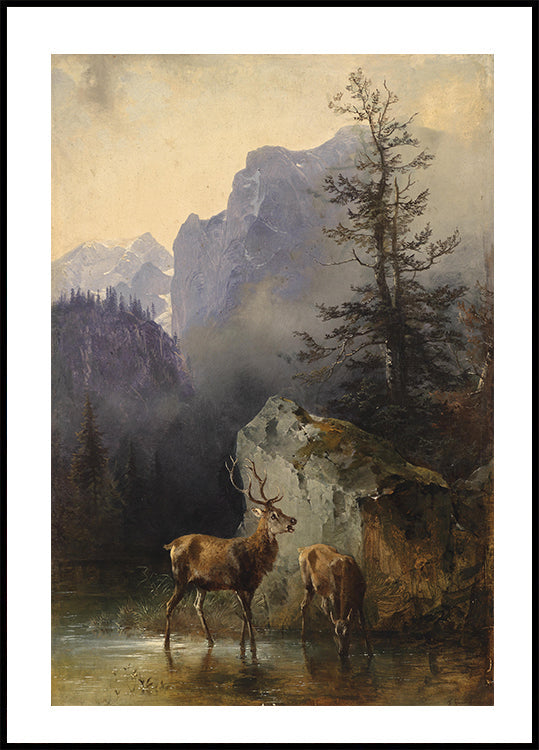 Deer at a Mountain Stream Poster