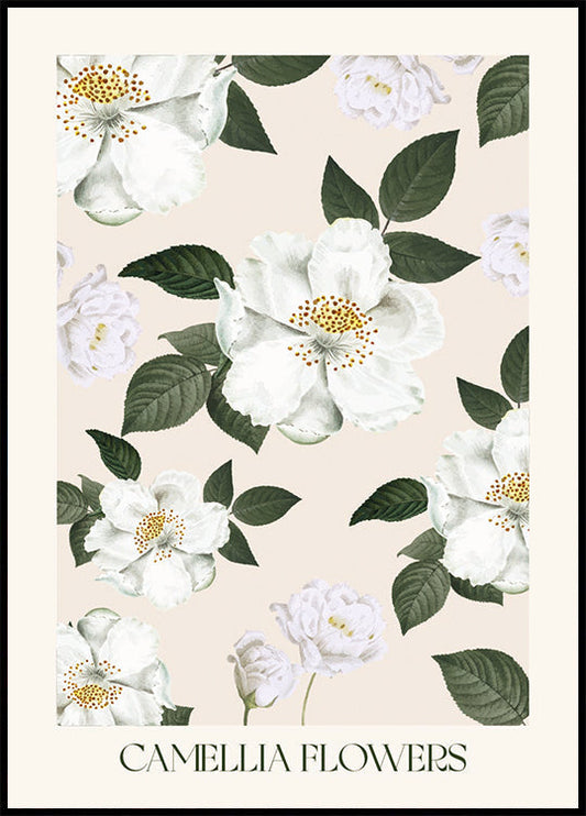 Camellia Flowers Poster