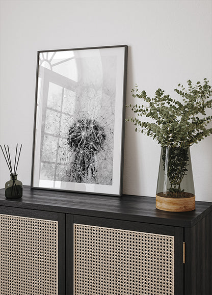 Dandelion Flower with Dew Poster