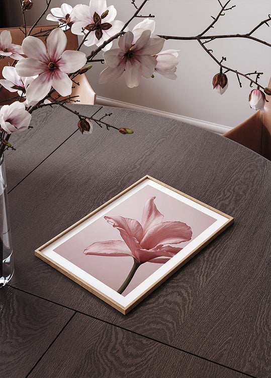 Tender Pink Lily Poster