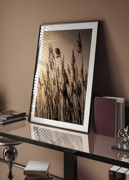 Reeds at Sunset Poster