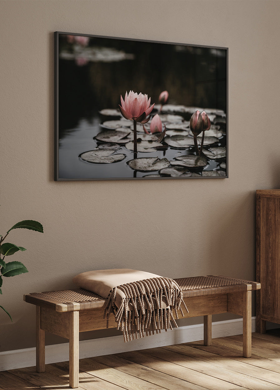 Pink Lotus Flowers Poster