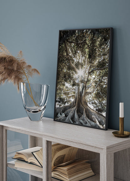 Tree with Large Roots Poster