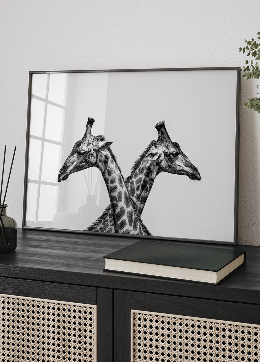 Two Giraffes Poster