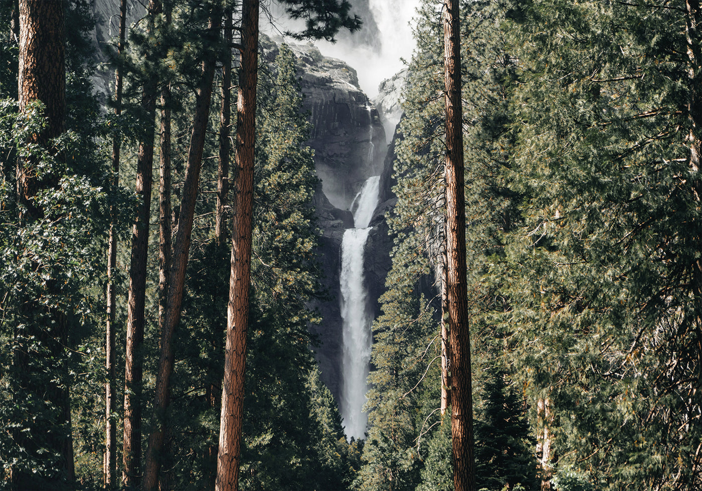 Waterfall in the Forest Poster